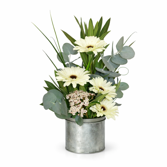 Σύνθεση με λευκές ζέρμπερες και ευκάλυπτο σε μεταλλικό κασπώ