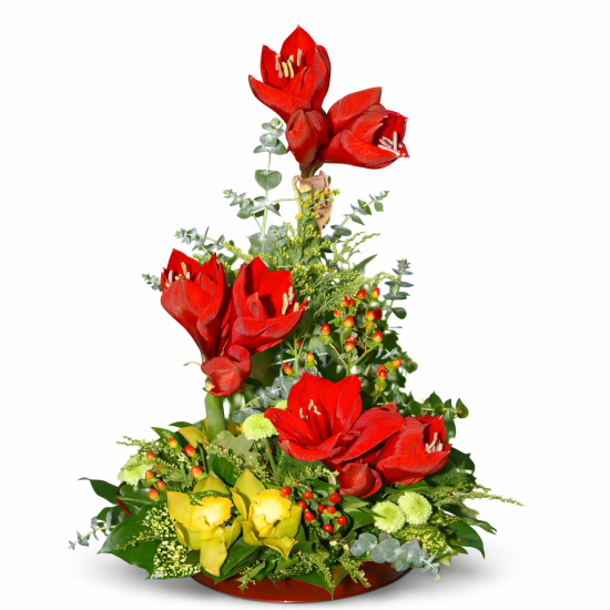 Ασύμμετρη χριστουγεννιάτικη σύνθεση με κόκκινη αμαρυλλίδα και εποχιακό πράσινο