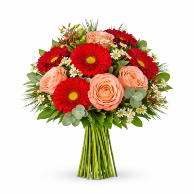 Μπουκέτο με Κόκκινες Ζέρμπερες & Ροδακινί Τριαντάφυλλα