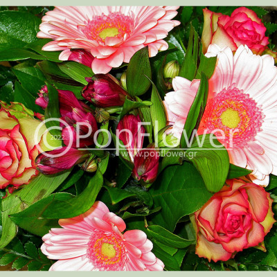 μπουκέτο ροζ φούξια